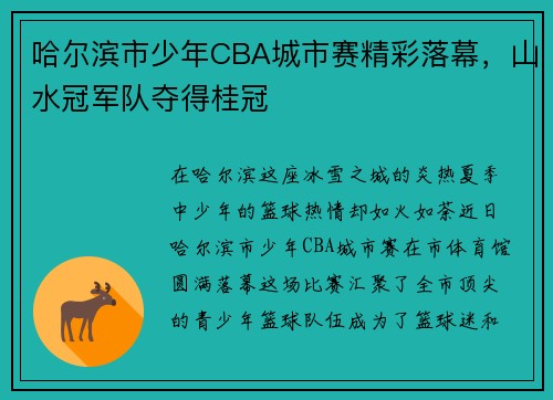 哈尔滨市少年CBA城市赛精彩落幕，山水冠军队夺得桂冠